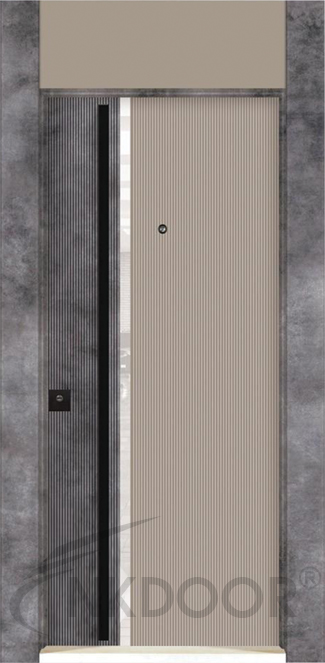 NK-3004 PREMİUM DEMİR - SATEN KANYON ÇELİK KAPI